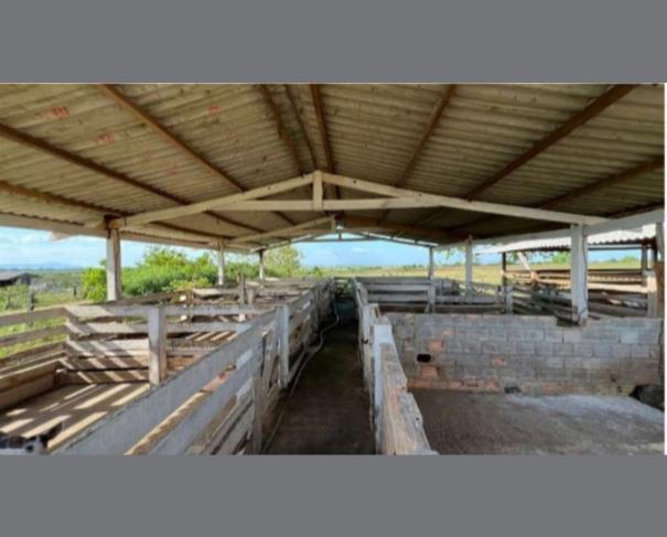 Foto de 1 Lote de Terras Rural | Área de 1.795,35ha | Amajarí/RR
