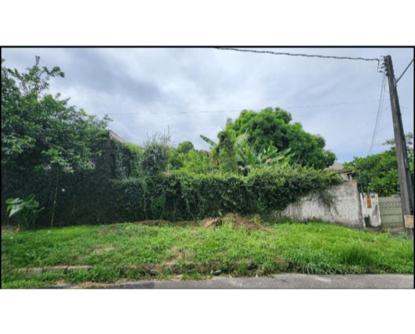 Foto de Lote de Terras | Área de 450,00m² | Rua Rio de Janeiro, Lote n° 11 | Loteamento Parque das Laranjeiras | Bairro Flores | Manaus/AM