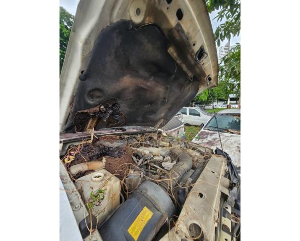 Foto de 1 Veículo | Ford | Ranger XL 13F | Diesel | Ano 2002/2003 | Placa JWT6081 | Renavam 797443576 | Chassi 8AFER13F03J284979 