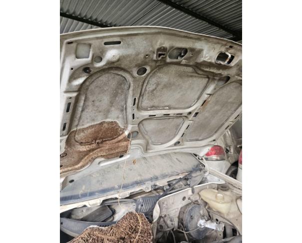 Foto de 1 Veículo | VW | Gol 1.6 MI | Gasolina | Ano 1998/1999 | Placa JWO9512 | Renavam 713287950 | Chassi 9BWZZZ377WP582113 