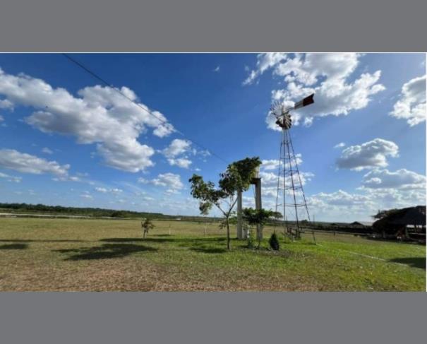 Foto de 1 Lote de Terras Rural | Área de 1.795,35ha | Amajarí/RR