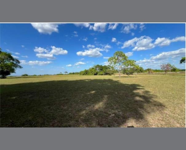 Foto de 1 Lote de Terras Rural | Área de 1.795,35ha | Amajarí/RR