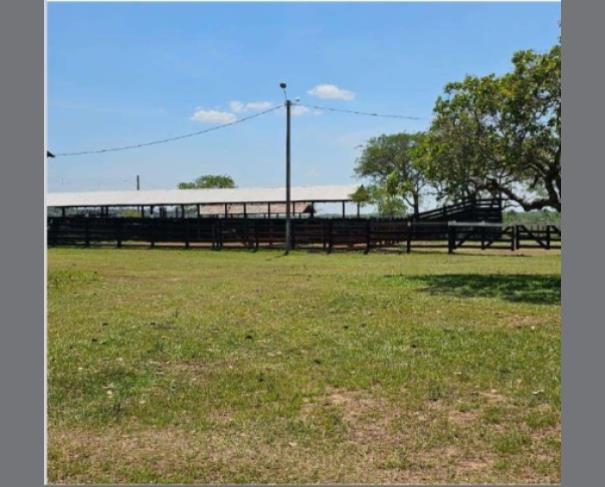 Foto de 1 Lote de Terras Rural | Área de 1.795,35ha | Amajarí/RR