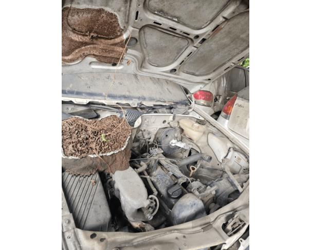 Foto de 1 Veículo | VW | Gol 1.6 MI | Gasolina | Ano 1998/1999 | Placa JWO9512 | Renavam 713287950 | Chassi 9BWZZZ377WP582113 