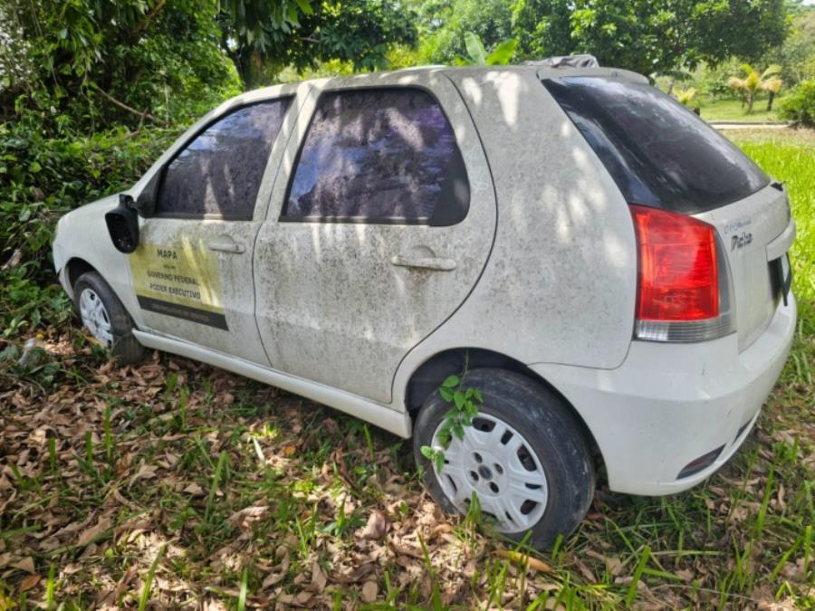 Foto de 1 Veículo | Fiat | Palio HLX Flex | Ano 2007/2007 | Placa JXG4092 | Renavam 910410437 | Chassi 9BD17141T72910736
