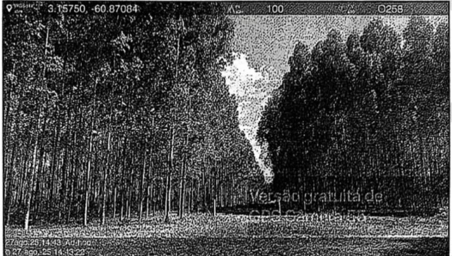 Imagem do imóvel 1 Lote de Terras | Área de 544,8499ha | Fazenda Jutaí | Boa Vista/RR Leilão Unificado de Bens Móveis e Imóveis | TRF 1ª REGIÃO