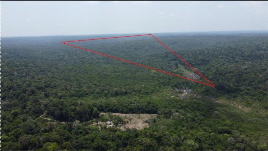 1 Imóvel Rural | Área de 1.529,8730ha | Fazenda Gabriela | Km 24, Rodovia AM-240 | Presidente Figueiredo/AM Leilão Extrajudicial | SICOOB, localizado em Presidente Figueiredo - AM