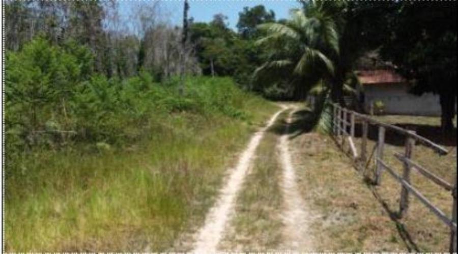 1 Imóvel Rural | Área de 1.529,8730ha | Fazenda Gabriela | Km 24, Rodovia AM-240 | Presidente Figueiredo/AM Leilão Extrajudicial | SICOOB, localizado em Presidente Figueiredo - AM
