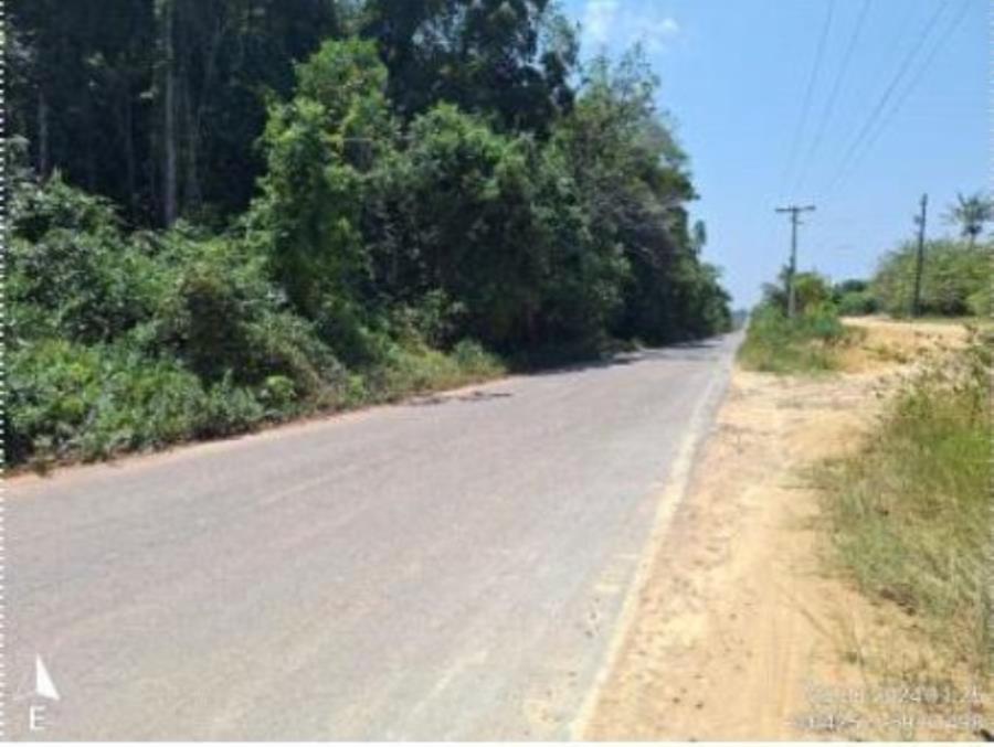 1 Imóvel Rural | Área de 1.529,8730ha | Fazenda Gabriela | Km 24, Rodovia AM-240 | Presidente Figueiredo/AM Leilão Extrajudicial | SICOOB, localizado em Presidente Figueiredo - AM
