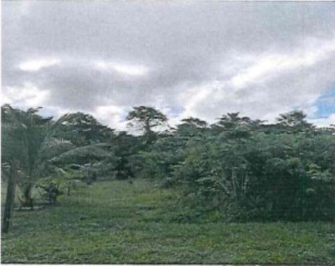 Lote de Terras | Área de 800,00m² e Perímetro de 120,00m | Bairro do Jacarezinho | Itacoatiara/AM