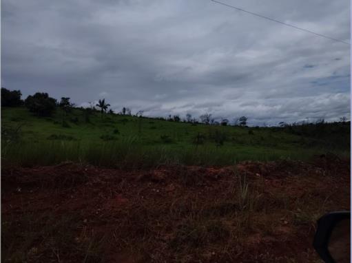 Lote de Terras | Área de 468,9305ha | "Fazenda Fortaleza II" | Situada Na Gleba Cauamé | Alto Alegre/RR