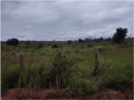 Lote de Terras | Área de 129,1775ha | "Fazenda Fortaleza I" | Situada Na Gleba Cauamé | Alto Alegre/RR