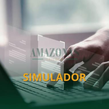 SIMULADOR