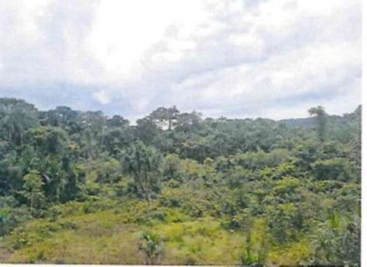 Imóvel Rural | Área de 80.3644ha | Rodovia BR-174, km 134 | Lote 114 Quadra 002/0114 | Sítio Britam