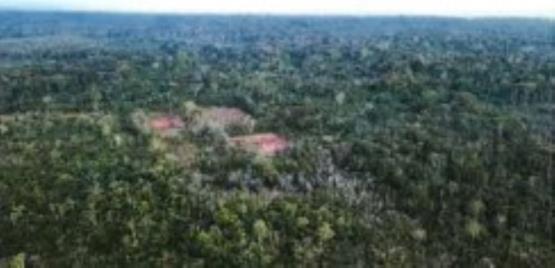 1 Lote de Terras | Área de 1.000.000,00m² | Tefé/AM